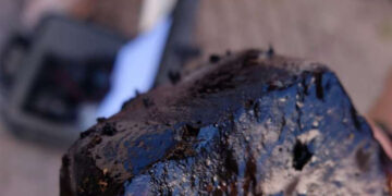 Confirmed—Neolithic “chewing gum” reveals human DNA, diet, and secrets from 6,000 years ago in the Alps