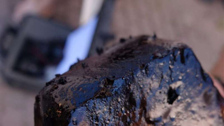 Confirmed—Neolithic “chewing gum” reveals human DNA, diet, and secrets from 6,000 years ago in the Alps