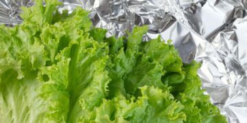 Confirmed—this aluminum foil trick keeps lettuce fresh longer—it's the viral method