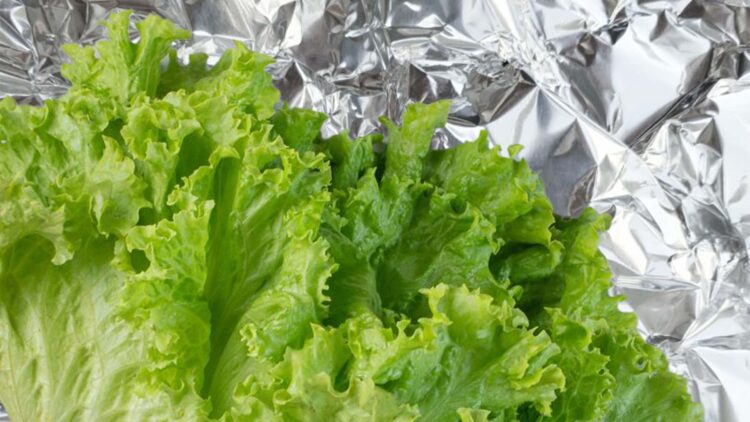 Confirmed—this aluminum foil trick keeps lettuce fresh longer—it's the viral method