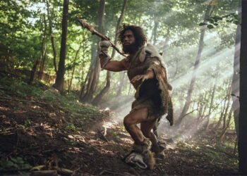 This is how a hunter-gatherer lived 30,000 years ago—archeologists find a set of weapons and personal tools in Milovice IV that reveal what their daily life was like