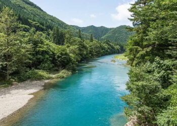 It's official—scientists reconstruct how iron microbes ignited the biological engine that changed the planet forever