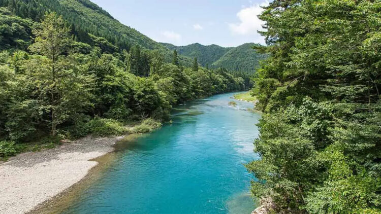 It's official—scientists reconstruct how iron microbes ignited the biological engine that changed the planet forever