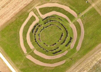 They look like signs from aliens, but they are the remains of a Neolithic civilization discovered in Austria