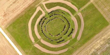 They look like signs from aliens, but they are the remains of a Neolithic civilization discovered in Austria