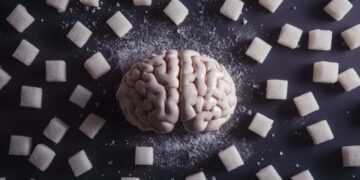 Confirmed—sugar abuse damages the hippocampus and affects memory and learning, according to neurology experts