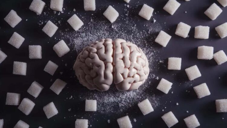 Confirmed—sugar abuse damages the hippocampus and affects memory and learning, according to neurology experts