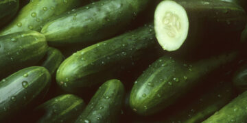 Goodbye to household pests—the surprising cucumber method that is taking social media by storm and is already being used by thousands of people