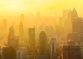 Goodbye to the toxic air of large cities—studies show that moving to green areas improves lung capacity and prevents long-term respiratory diseases