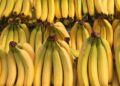 Confirmed—bananas do raise blood sugar, but it depends on their ripeness and what you combine them with