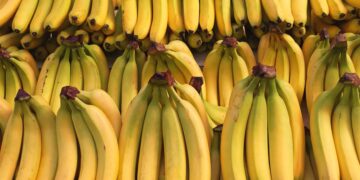 Confirmed—bananas do raise blood sugar, but it depends on their ripeness and what you combine them with