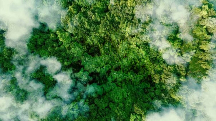 Confirmed—French geologists discover an inexhaustible source of clean energy that could power the planet for millennia