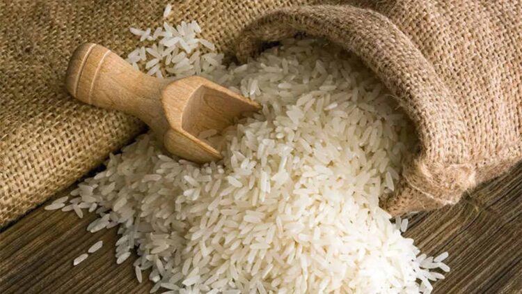 Confirmed—poorly stored or reheated rice can become the perfect breeding ground for Bacillus cereus bacteria