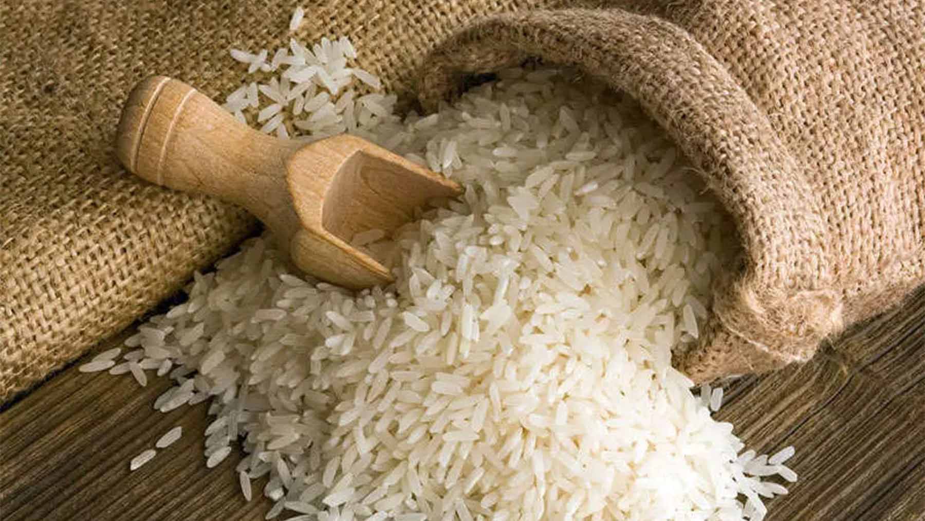 Confirmed—poorly stored or reheated rice can become the perfect breeding ground for Bacillus cereus bacteria