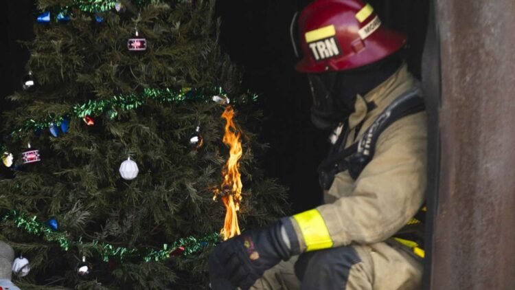 It's official—firefighters in the United States warn of the deadly risk of not watering your Christmas tree properly