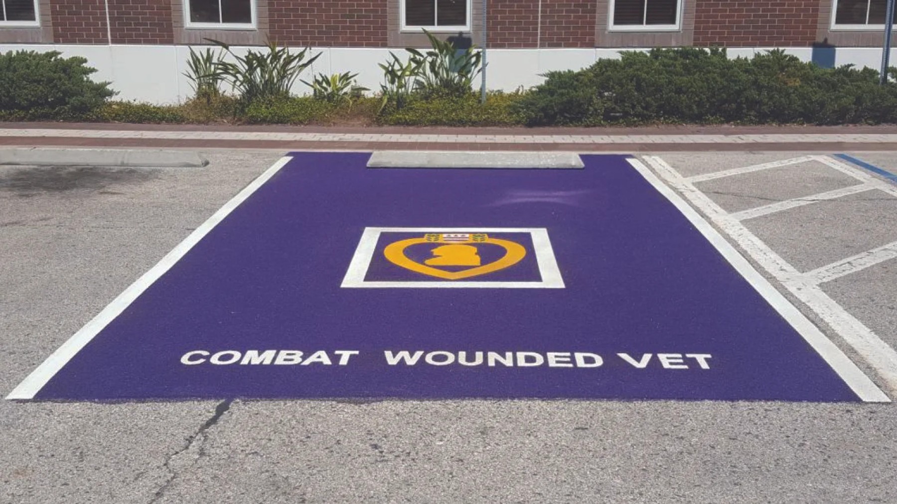 Expansion of purple parking spaces in the US—who can park there and what are they for—states such as Ohio, Texas, Florida, and California are already implementing them