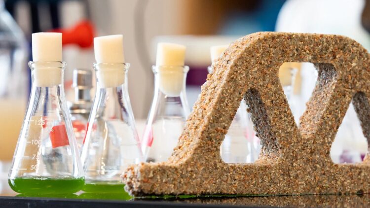 Neither traditional cement nor steel—scientists create a ‘living brick’ that repairs itself using fungi and bacteria