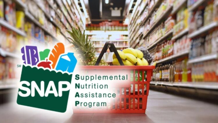 It's official—millions of SNAP recipients face new rules in 2026 that cut food benefits and tighten requirements