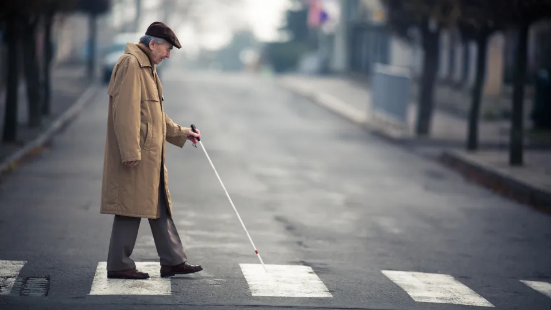 North Carolina tightens its pedestrian crossing law—fines of up to $1,000 and license suspension for failing to stop for blind people