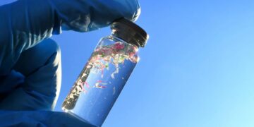 Neither water nor food is safe—this is the hidden role of microplastics, according to the University of Exeter