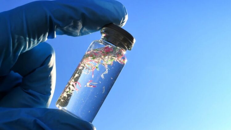 Neither water nor food is safe—this is the hidden role of microplastics, according to the University of Exeter