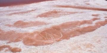 It's official—the United Arab Emirates is promoting pink hydrogen with nuclear energy and setting targets for 2050