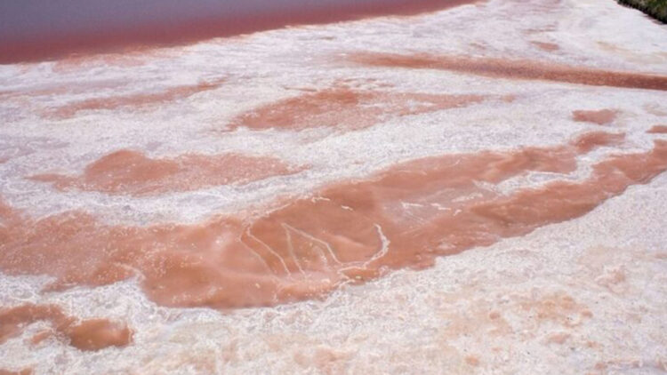 It's official—the United Arab Emirates is promoting pink hydrogen with nuclear energy and setting targets for 2050