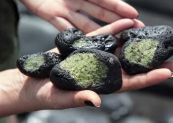 “As soon as something falls, it's time to get going”—the lucrative business of meteorite hunters who earn thousands of dollars selling them