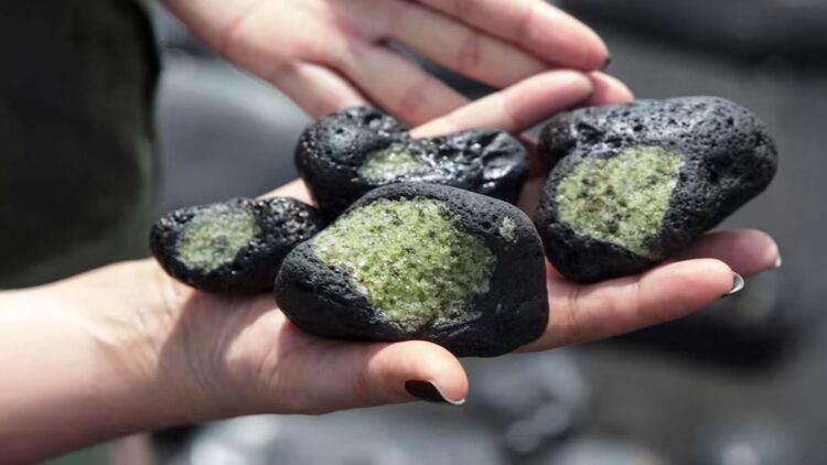 “As soon as something falls, it's time to get going”—the lucrative business of meteorite hunters who earn thousands of dollars selling them