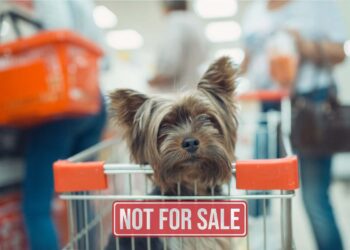 Goodbye to buying dogs and cats in New Jersey stores—the Senate is pushing a law that will impose a $1,000 fine for each animal sold