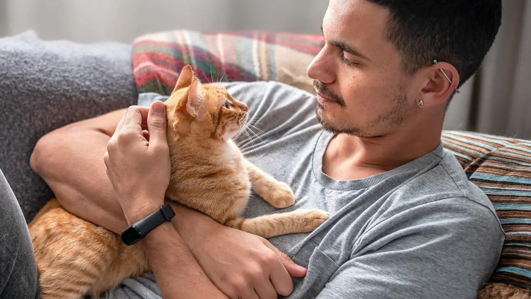 Confirmed—Cats see humans as giant kittens, not as their owners (this is how your feline companion sees you)