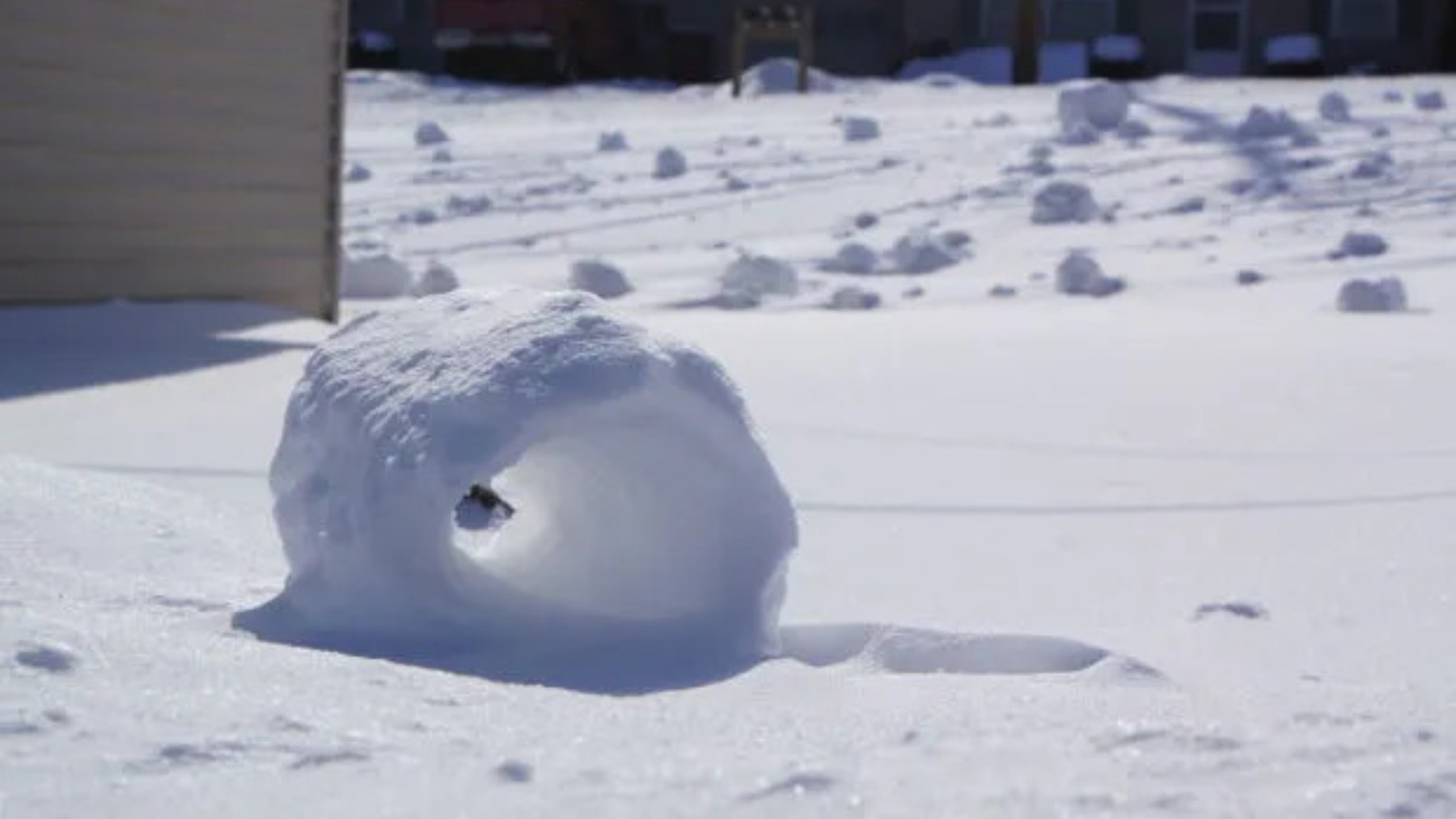 The strange winter phenomenon in Ohio—the state wakes up covered in giant natural snow rollers that baffle scientists