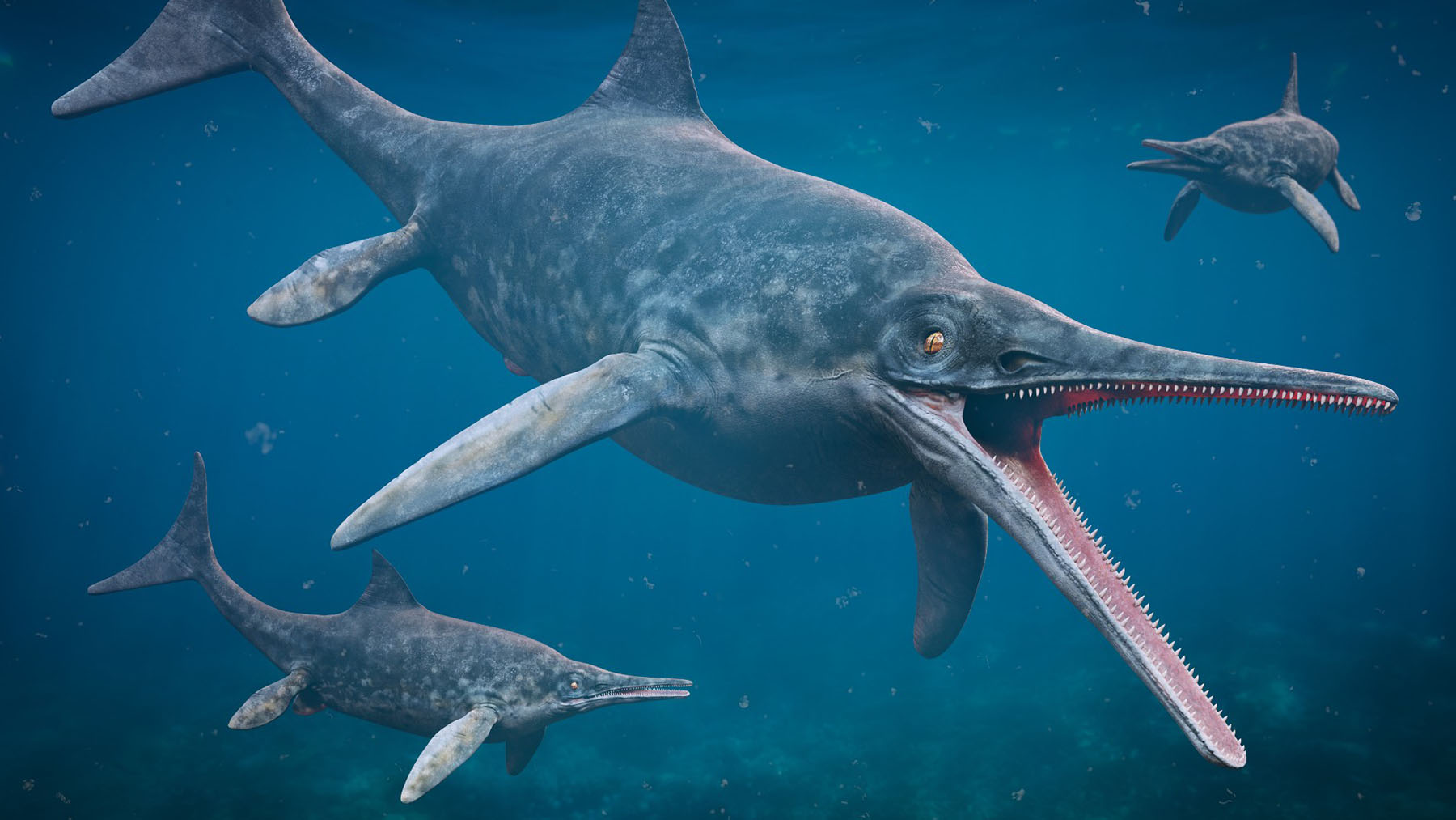 Neither blue whale nor megalodon—this giant marine reptile found in England surprises paleontologists