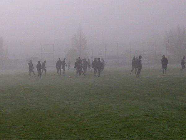 Guerra y Juanito vuelven a trabajar con sus compañeros