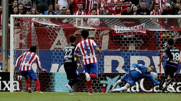 La derrota del lindo gatito