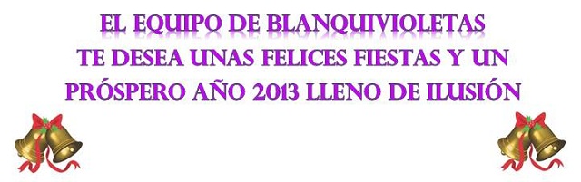 El equipo de Blanquivioletas desea a todos los usuarios del portal unas felices fiestas