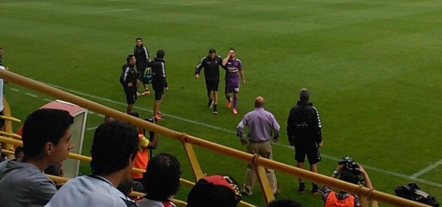 Cerocerismo en el Reino de León 1 Rodri || Foto: Leandro Sánchez de Medina