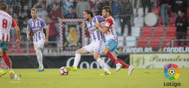 Entre Líneas: Construir desde abajo para ser un todo 1 Leão