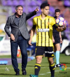 Herrera: "Vamos hacia arriba" 2 Paco Herrera