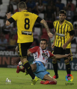 Cani salva una entrada