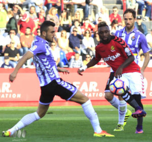 Afrotarraco 2 w 900x700 16180709img 0110