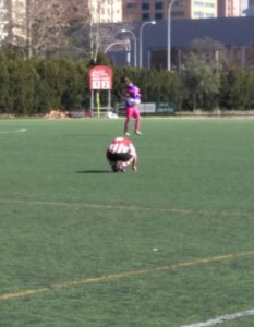 WhatsApp Image 2017 02 19 at 14.40.52