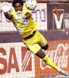 Porteros de importación 2 BeSoccer