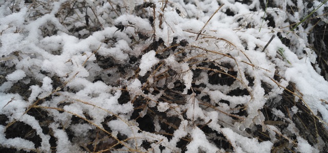 La nieve impide al Promesas jugar su partido ante el Unión Adarve