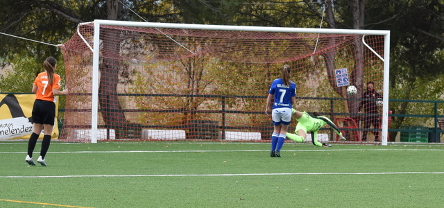 Dos goles en dos momentos clave le dan la primera victoria al CD Parquesol 1 DSC 1141 1 2