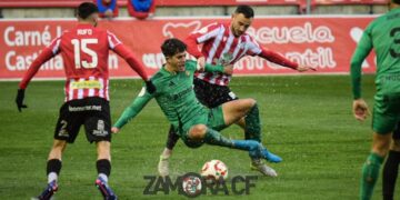 Primera RFEF, Zamora