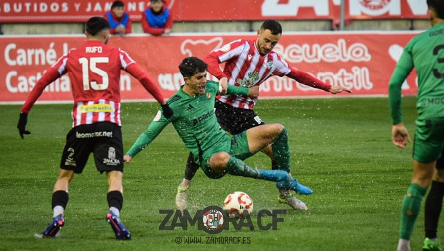 Primera RFEF, Zamora