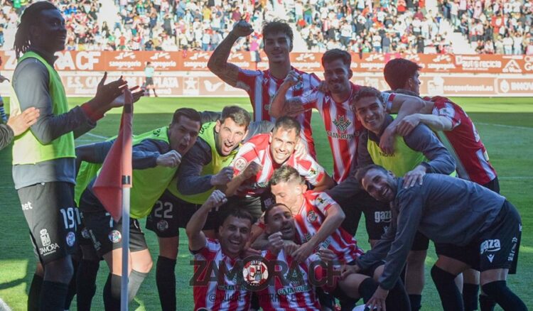 Primera RFEF, Zamora