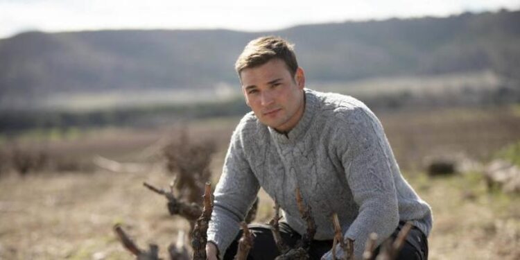 El modelo 50+1 como vía hacia un Real Valladolid más participativo 2 Valladolid La Lagareta