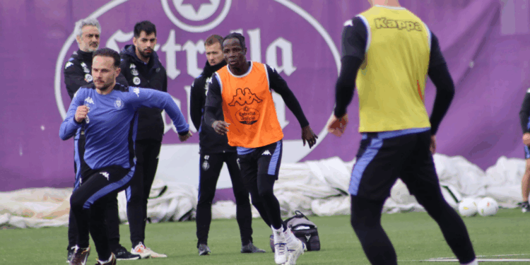 Las 3 claves de la temporada del Real Valladolid 2 Valladolid Agenda